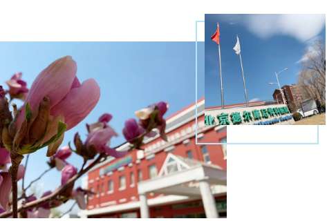 點擊看原圖 搜狗截圖19年08月30日1349_3.jpg